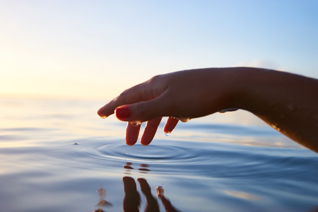 Growth and healing representing positive somatic therapy outcomes